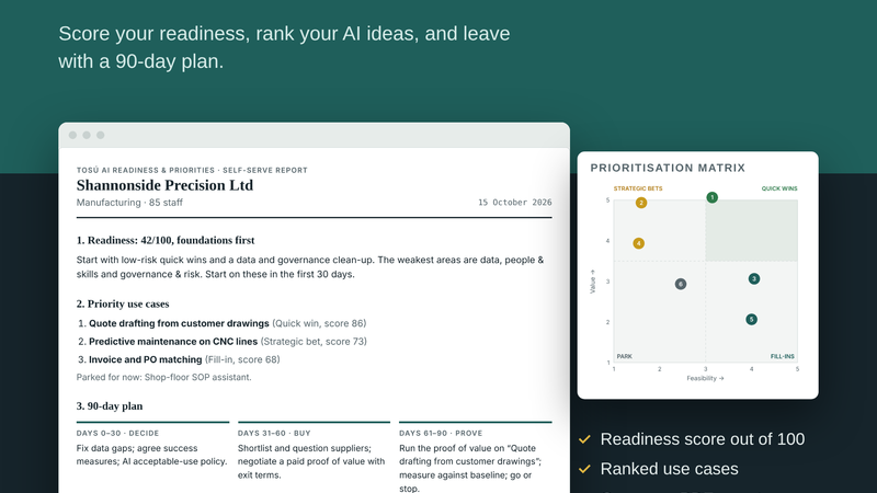 Tosú AI Readiness & Priorities Tool